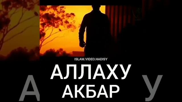 Кто создатель? Аллаху Акбар!