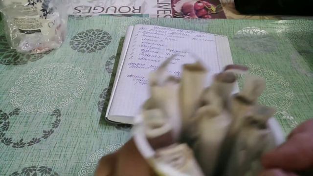 Что произошло с перцем и томатами в самокрутке через 5 дней от посева.Всходы колеуса.