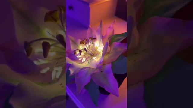 Bc66e43769e7b6ce53c102665967576c