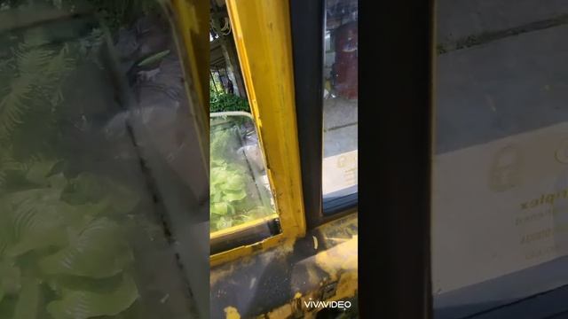 Реставрация с душой на даче