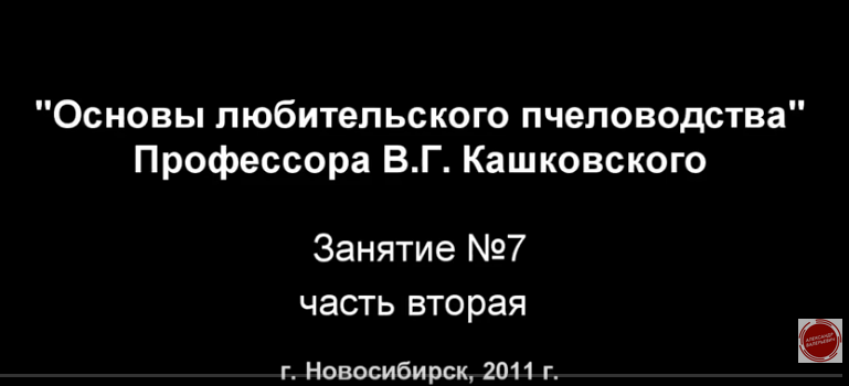 5b5c8188d4e29c6000bb4c8889f51725