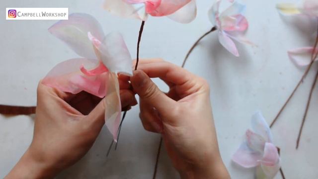PAINTER'S FLOWER COLLECTION - JULIAN MEAGHER'S ORCHID With Hand Paint Organza