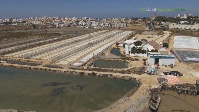 Punta Del Boquerón Y Salinas San Vicente, San Fernando. Cádiz