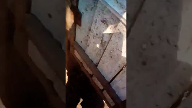 Bf1f6ca58c2467029e8fafad34e0f052