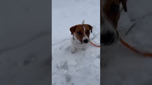 команда кувырок