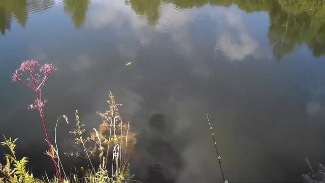 Китайский Realis Jerkbait 100SP