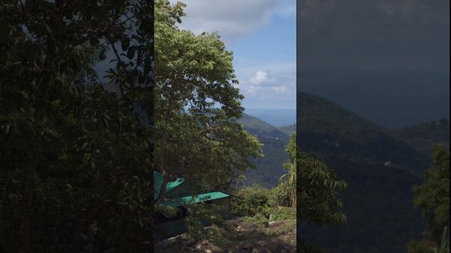 7272dd7c2d6e48584fb9913617b52765