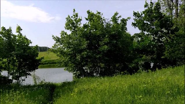 Рыбалка в деревенском пруду