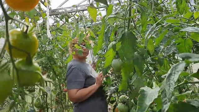 5b0d091076629fa6e49e655318a39e09