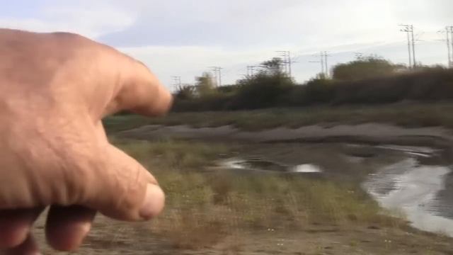 Лесная прогулка от 3-го моста ДОМАХИ до Лывков и Балабинской косы 18.10.23 г.