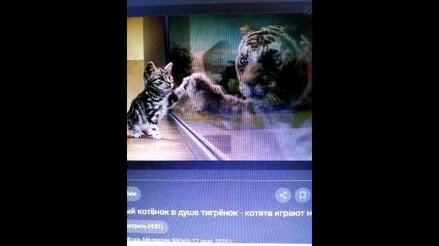 B1ed1e86edc5631801f4c2e0111dc159