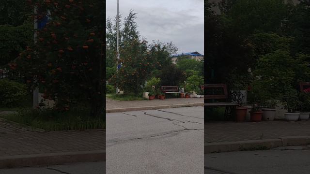 День Государственного флага Российской Федерации