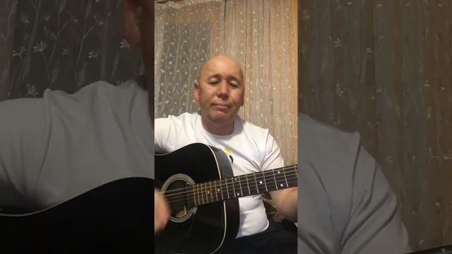 гранитный камушек/ Божья коровка/кавер на гитаре