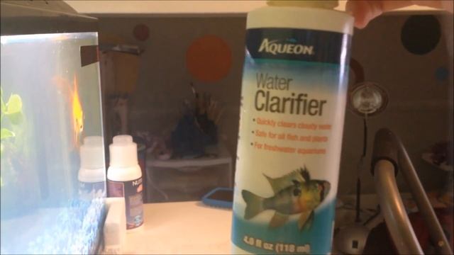 How To Get Rid Of Cloudy/milky Aquarium Water