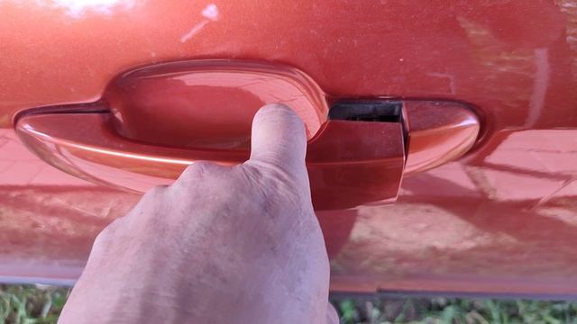 Куролевство