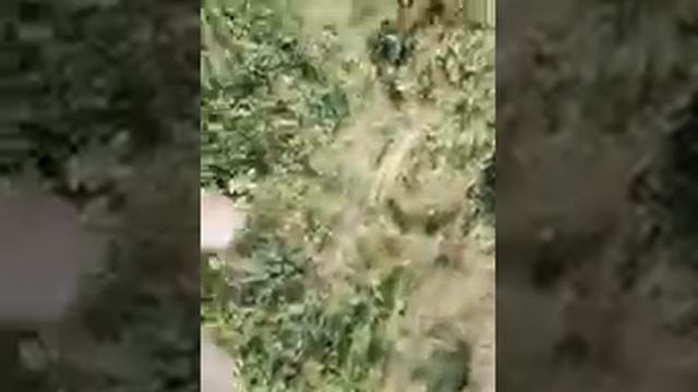 Выключилась камера. Что-то идёт не так. Продолжение.