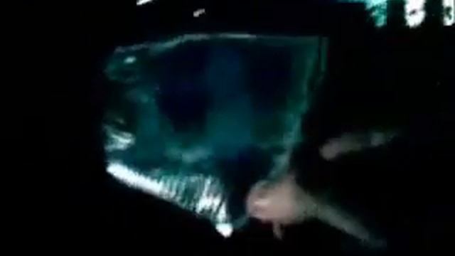 БАБУШКИН ФАРФОР