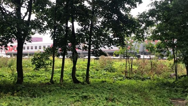 поезда идут вперёд 