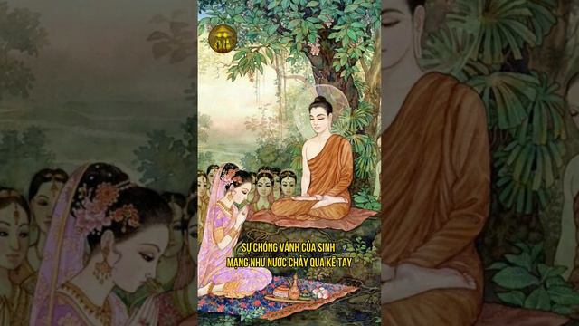 Hãy Quên đi Những Dục Vọng Hư ảo Của Thế Gian #kinhphat