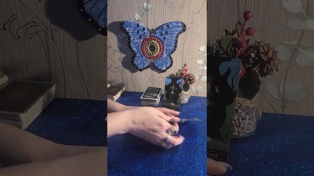 СУЖЕНЫЙ-РЯЖЕНЫЙ для четырёх королев❤?????