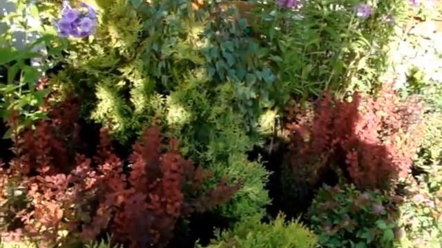 Приглашаем в Садовый Центр в Десне!