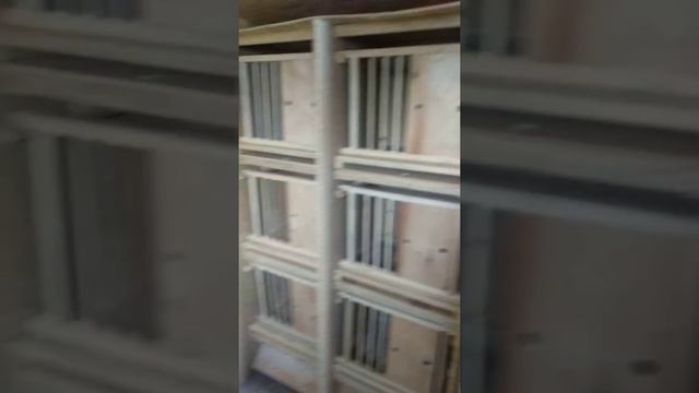 Голубятня - начало 24 февраля 2020 г.