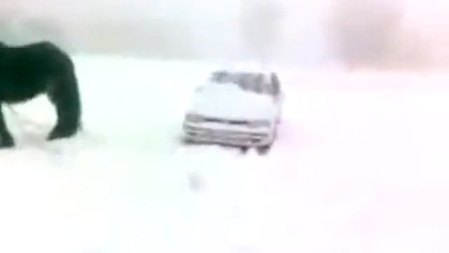 Прикольная буксировка авто !!! Смотреть прикол !!!