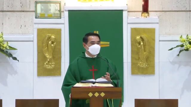 Catholic Weekday Mass Today Online - Tuesday, 8th Week In Ordinary Time 2022