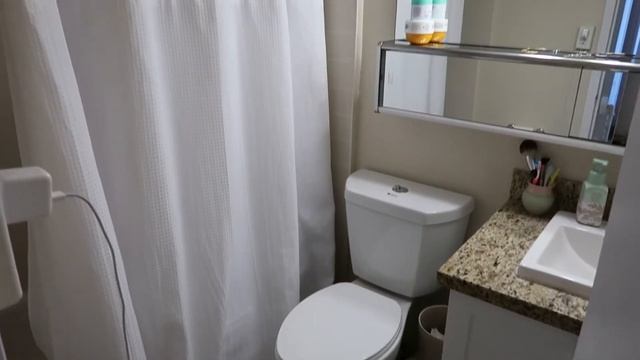 Puppy's first groom + bathroom makeover!