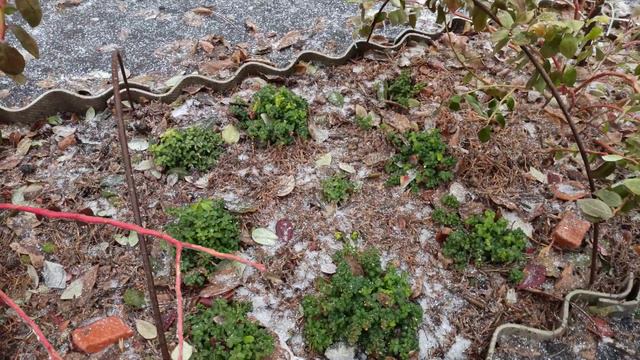 A7b70a77748dc994c29716d0e6b8cd62