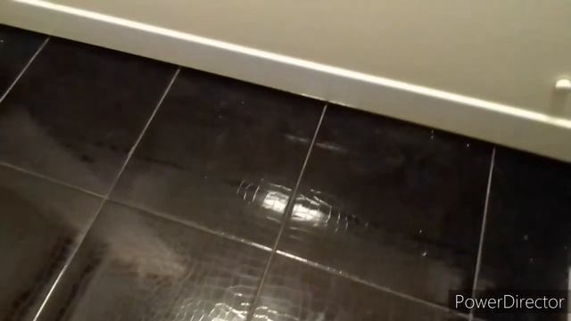 ЧУВСТВО ПРИСУТСТВИЯ