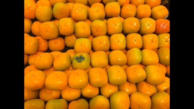 120b84c10e6b0dd530e20328b3c4f3d9