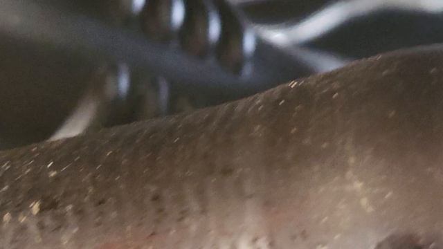 Basic Service Maintenance Nissan Qashqai 162