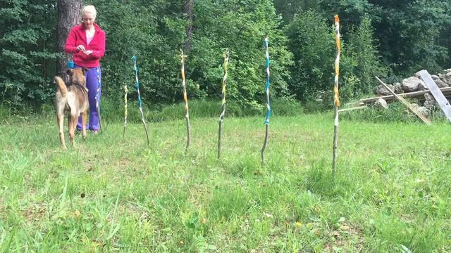 F8f4ff5c403edb91860cfa50a51868f7