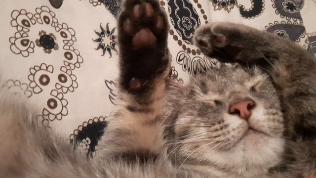 547d6654afce0d35b40627227e4424e6