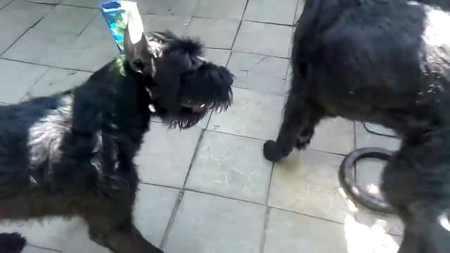 738c84c24870936f5b5d2ac32a368885