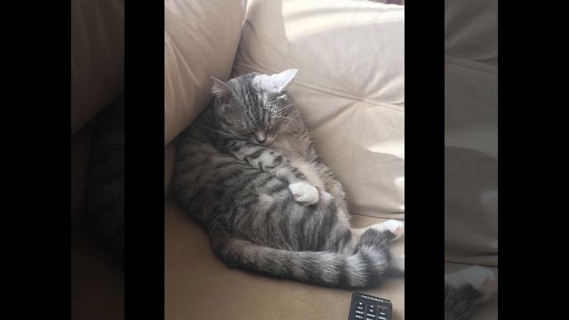 Моё первое видео?