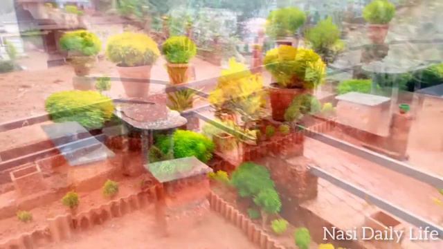 കുറച്ച് ഗാർഡൻ വിശേഷങ്ങൾ ആയാല്ലോ Garden Tour/outdoor Plant/garden Ideas/nasi Daily Life
