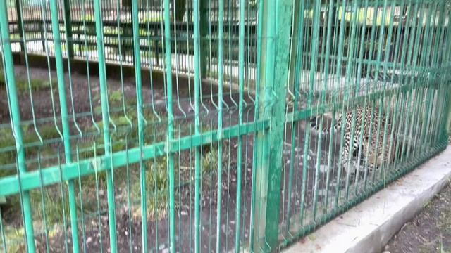 Кавказский заповедник вольерный комплекс Лаура Газпром