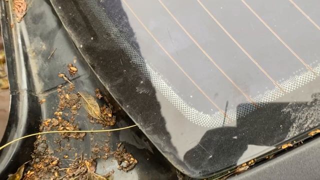 Уборка с умением и талантом