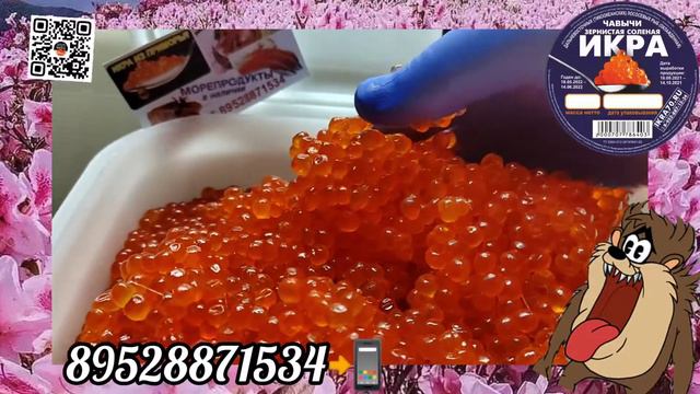 683d5e7bfd487cc9d940451330663f0c