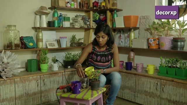 Cd226c7dcf20bebbc09c93836e8085c6