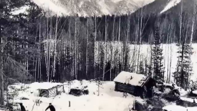 Существо из под земли вышло к  артельщикам в тайге