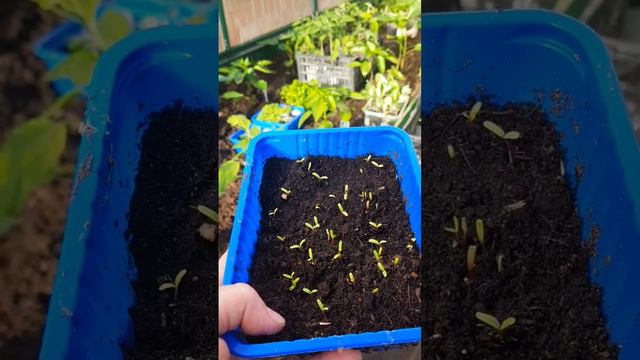 Eb6b5ee64cb746089b38a37fda2980f2