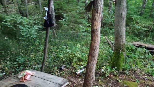 Озеро Подборное и немного орехов.mp4