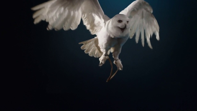 235a8dd7f96f1ccdd63a1984f6f022a6