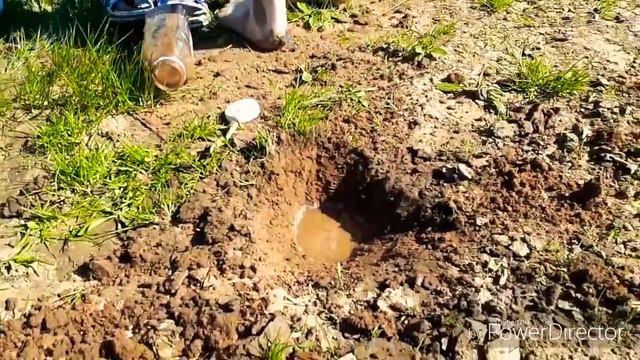 Пикник на речке. Бассейн для бебибона. Большой жук. И очень вкусный шашлык.