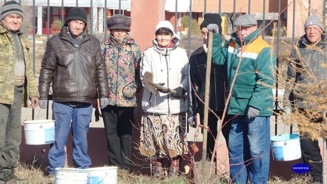 Хроника прихода октябрь 2017 год Посадка деревьев