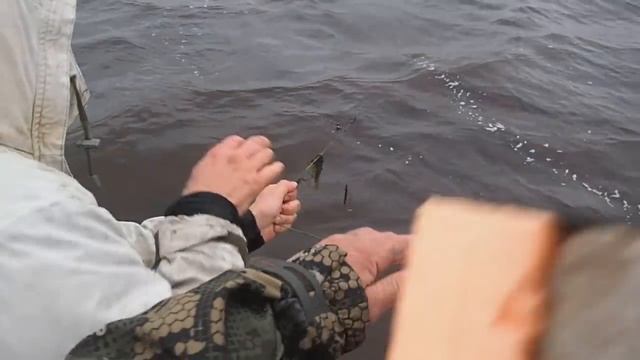 C0ae70310c9a6c460fb9862731cf5434