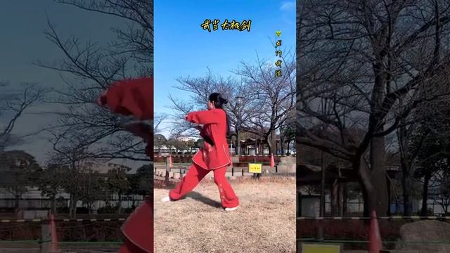 Полная демонстрация формы 49 позиций уданского меча великого предела (удан тайцзи цзянь) /  49式武当太极